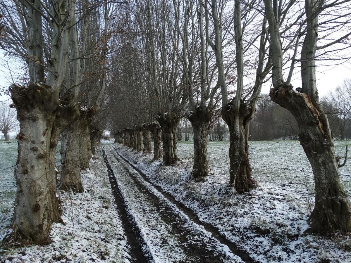 La Vannerie Origny-en-Thierache Esterno foto